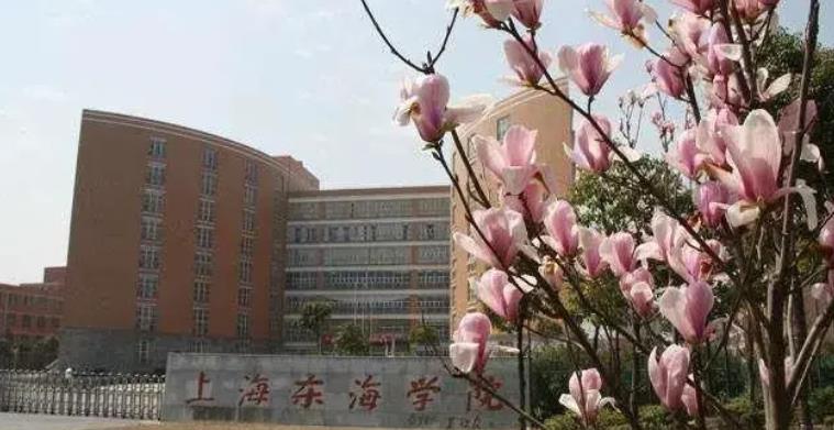 上海职业学校排名前十名（分享上海十大专科学校排名 ）