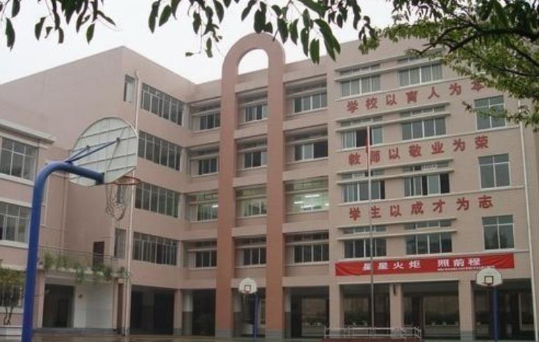 贵阳市最好的公立小学排名（解析贵阳市的十大小学学校排行榜）