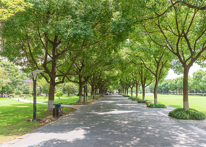 贵阳邮电职业学校招生简章（介绍贵州省邮电学校2022年招生简章）