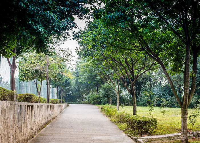 上海职业学校排名前十（讲解最新2022年上海市高职院校排名出炉）