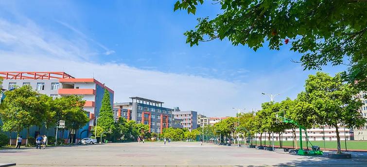 舞蹈艺术学校排名前十名的大学（分享中国十大舞蹈学院排名）